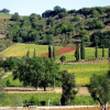 Отель Podere Le Regole, фото 7
