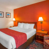 Отель Comfort Inn & Suites University, фото 18