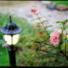 Отель The Dew B&B, фото 32