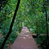 Отель Tierra Guarani Lodge de Selva, фото 23
