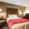 Отель Comfort Inn Latham - Albany North, фото 3