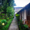 Отель Chitwan Forest Resort, фото 34