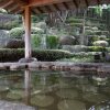 Отель Shugyoku no Yu Yakushido Onsen, фото 17
