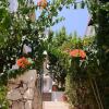 Отель Villa Sea Bella, фото 13
