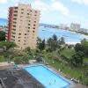 Отель Oyster Shell Beach Suite - Turtle Towers в Очо Риосе