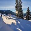 Отель Hubertus Mountain Refugio Allgäu, фото 2