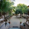 Отель Gir Lions Paw Resort With Swimming Pool, фото 19