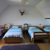 Отель Gîte Fontaines-en-Sologne, 4 pièces, 11 personnes - FR-1-491-259, фото 11