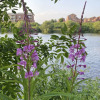 Отель Beautiful 1-bed Apartment in Stockton-on-tees, фото 15