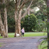 Отель North Coast Holiday Parks North Haven, фото 23