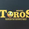 Отель Toros Hotel, фото 1