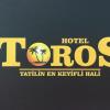 Отель Toros Hotel, фото 13