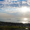 Отель Bellamar Beach Inn, фото 24
