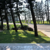 Отель Araucaria Residence, фото 17