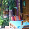 Отель Under the coconut tree - Hostel, фото 1