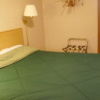 Отель Rochester Motel, фото 5