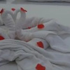 Отель Bicici Otel, фото 3