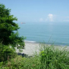 Отель Batumi Green Cape Guest House, фото 10