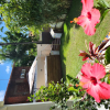 Отель Pousada Beach Garden, фото 1