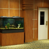 Отель Best Western Valley Plaza Inn, фото 25