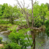 Отель Twin Mountain Inn & Suites, фото 27
