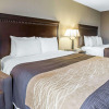 Отель Comfort Inn & Suites near Tinley Park Amphitheater, фото 4