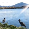 Отель Uros Titicaca khantaniwa Lodge, фото 25