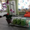Отель Thoo Hotel, фото 4