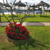 Отель Luxury House 110 M2 on the Beach, Pool, Parking, фото 12