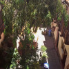 Отель Yuri's Sambleño II Hostel, фото 24
