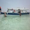 Отель Cabañas Demar Achudup, San Blas, фото 15