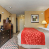 Отель Comfort Inn Chattanooga, фото 4