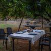 Отель Beyond Stay Mahua Bagh Murud, фото 8