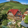 Отель Hotel-Restaurant Rebstock, фото 15