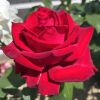 Отель MARINO1, фото 15