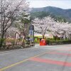 Отель Baenaegol Audio Jeongwon Pension, фото 1