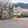 Отель Baenaegol Audio Jeongwon Pension, фото 1