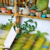 Отель Weizhou Island Summer Haiqing Homestay, фото 9