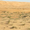 Отель Starwatching Private Camp, фото 17