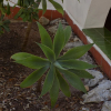 Отель Encanto del Mar, фото 20