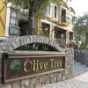 Отель Olive Tree Studio, фото 1