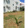 Отель Villa 413 во Флик-ан-Флаке