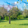 Отель Vista Alegre - Villa With Private Pool In Manacor, фото 23