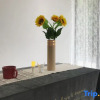 Отель Chunmian Music Hostel, фото 5
