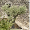 Отель Domaine de Cousignac, фото 8