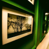 Отель Golden City Hotel Baku, фото 20