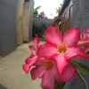 Отель IMeme Guest House, фото 23