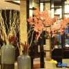 Отель Sunwu Hotspring International Hotel, фото 9