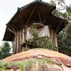 Отель Adriana's Bambu-Lodge, фото 1