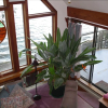 Отель Serenity by the Sea Retreat B&B, фото 2